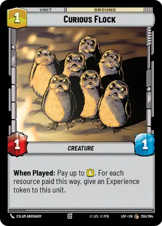 Curious Flock