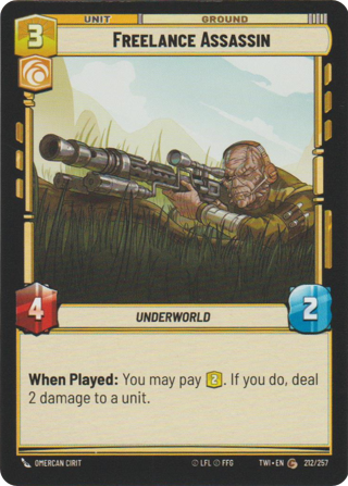 Freelance Assassin