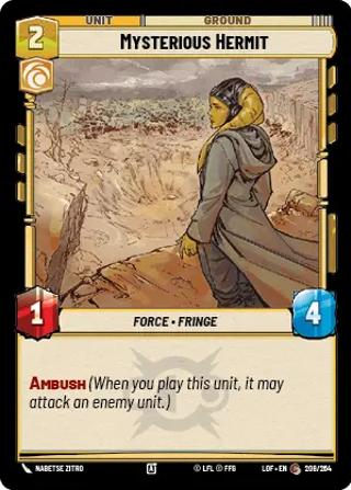 Mysterious Hermit
