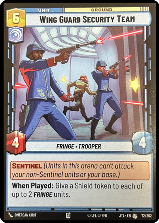 Wing Guard Security Team