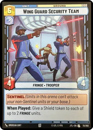 Wing Guard Security Team