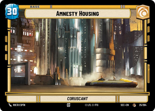 Amnesty Housing