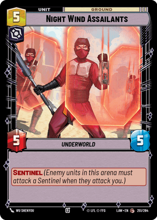 Night Wind Assailants
